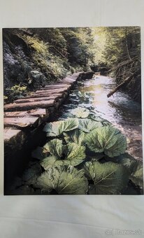 Fotoobraz zo Slovenského raja, oblasť Tomášovská Belá
- 2