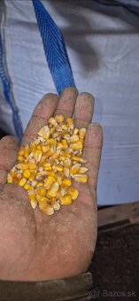 Ponúkam na predaj extrudovanú sóju - 2