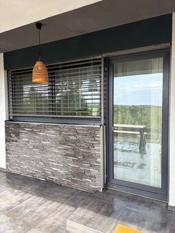 Plastove okno s dverami - 2
