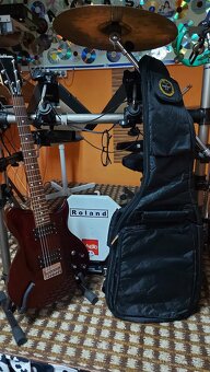 Washburn Vl14 - 2