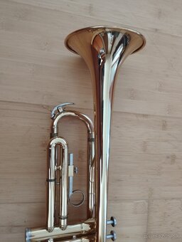Trúbka - 2