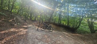 Kellys Phanatic 10 - 2