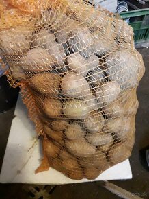Konzumné zemiaky - predaj - 2