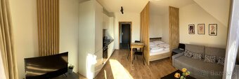 Apartmán v pavčinej lehote -Demänovská dolina-Jasná - 2