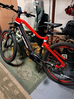 Ebike - 2