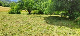 Kosenie, mulčovanie záhrad a pozemkov - 2
