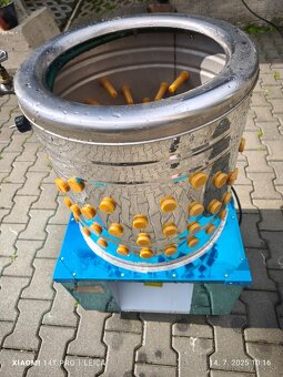 Sklbacka na hydinu - 2