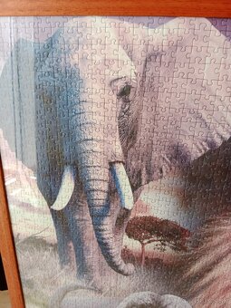 Obraz z puzzle – Africká divočina, zarámovaný a zasklený - 2