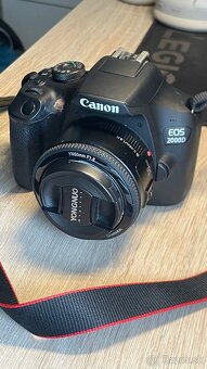 Canon EOS 2000D + Yongnuo 50mm f1.8 - 2