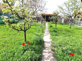 Udržiavaná záhrada s chatkou v obľúbenej lokalite Tehelňa - 2