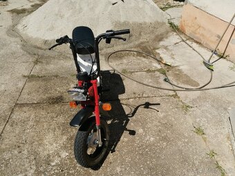 Stella babetta - 2