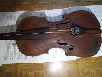 Predám  husle.... - 2