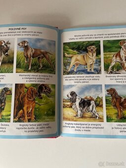 Leví kráľ Walt Disney,Bambi - 2