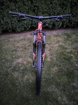 Specialized Rockhopper 29 - 2