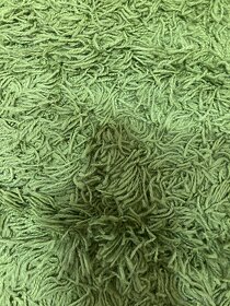 Zelený koberec - 2