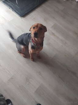 Darujem steniatko - 2