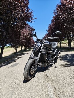 Benelli 502C - 2
