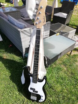 Bass guitar - 2