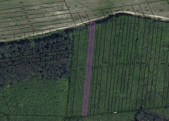 Podiel na lesnom pozemku - 2