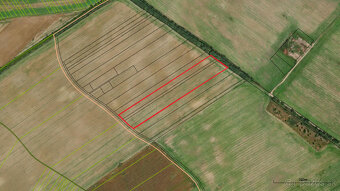 Pozemky vo Veľkom Bieli za priaznivú cenu vhodné aj investič - 2