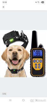 Elektricky obojok pre psov - 2