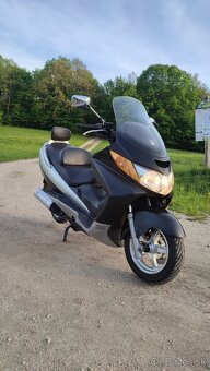 Suzuki burgman 400 - 2