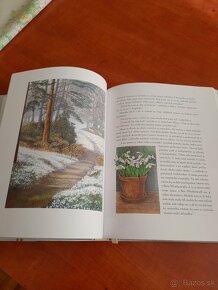 F.H.Burnett- Tajná záhrada - 2