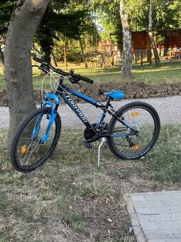 Detský horský bicykel Torpado Viper 24 - 2