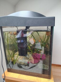 Akvárium 60 l - 2