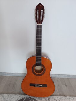 PREDÁM MALÚ GITARU - 2