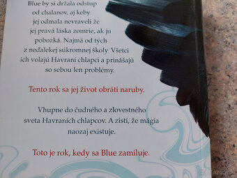 Havraní chlapci - Maggie Stiefvater - 2