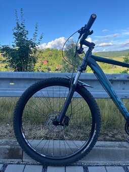 CTM Rambler 1.0 29” XL 2019 - 2