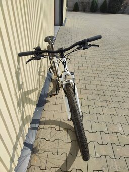 Specialized Ariel - 2