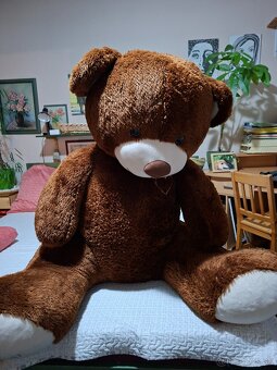 Predám veľkého plyšového medveda - 2