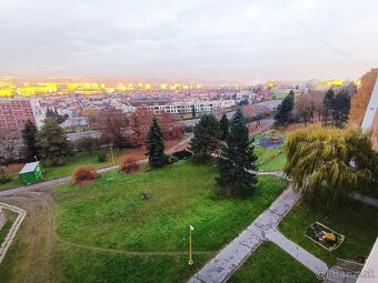 Na prenájom veľký 1-izbový byt na Idanskej ul. - 2