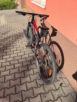 Horsky bike Specialized Rockhopper 29 L - 2