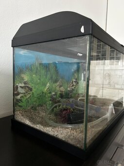 Akvárium 60L - 2