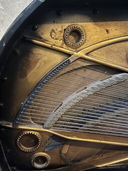 C. Bechstein - 2