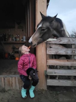 Jazdenie,vychádzky - 2