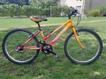 Dámsky horský bicykel - 2