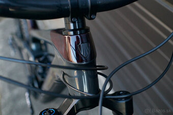 Trek Slash 9.9 X01 – 2021 - 2