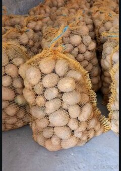 Kapusta rezana 0.70€/kg zemiaky 0.53€/kg - 2