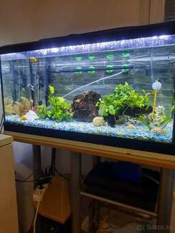 Komplet zabehnuté akvárium - 2