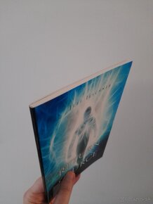The Return to Source - 2