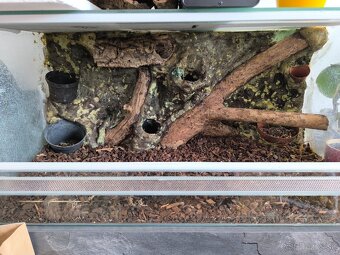 Terarium - 2
