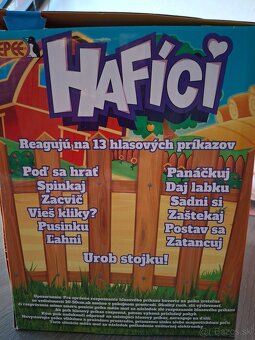 Hafíci (Retriever lumpík) - 2