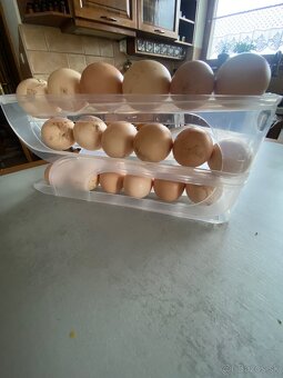 Domáce vajcia - 2