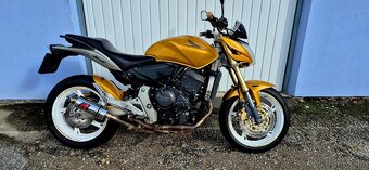 Hornet 600 25kW v TP - 2