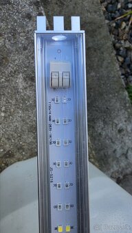 Grown Led - 2