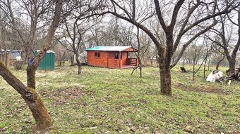 Ponúkame záhradku s chatkou v záhrad. oblasti v Prešove. - 2